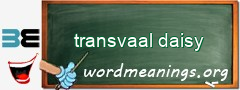 WordMeaning blackboard for transvaal daisy